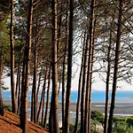 Lejlighed **arcachon Centre: T3 Moderne Avec Terrasse, Proche Et Commerces Pour 4 Personnes** - Fr-1-420-112 *