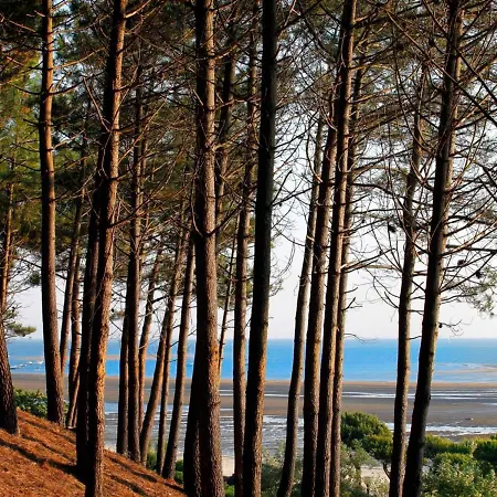 Apartmán **arcachon Centre: T3 Moderne Avec Terrasse, Proche Et Commerces Pour 4 Personnes** - Fr-1-420-112 *