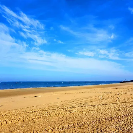 **arcachon Centre: T3 Moderne Avec Terrasse, Proche Et Commerces Pour 4 Personnes** - Fr-1-420-112 *
